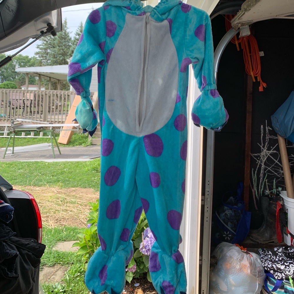 Monsters Inc “Sullie” costume.